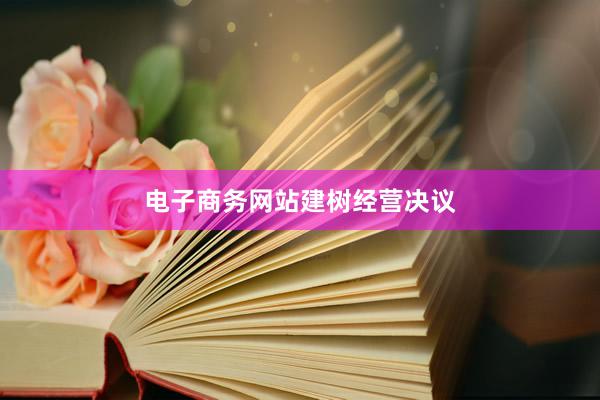 电子商务网站建树经营决议