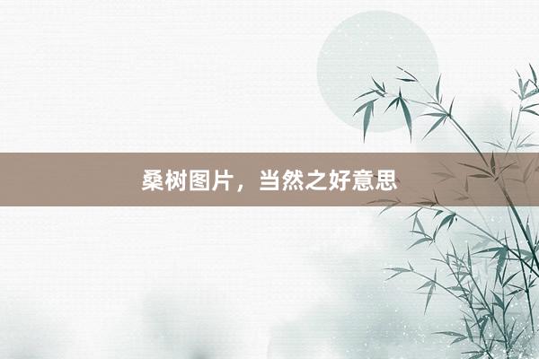 桑树图片，当然之好意思