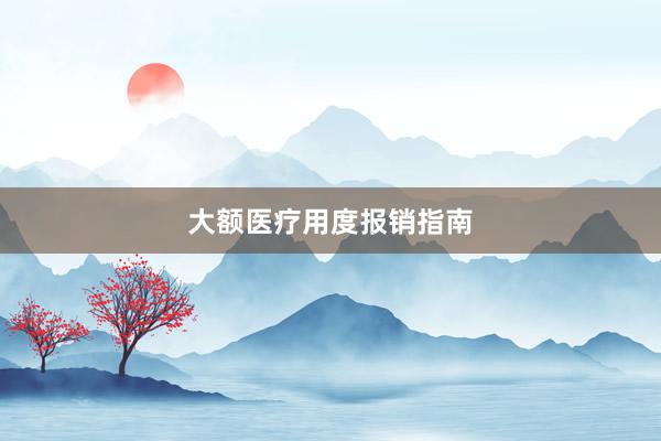 大额医疗用度报销指南